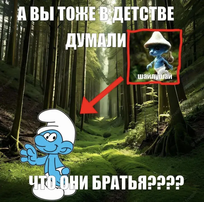 Smurf Cat / Шайлушай